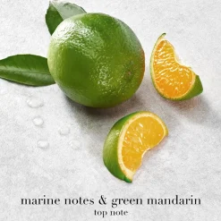 Armani Acqua Di Giò Eau De Parfum, 100 ml- Eau De Parfum