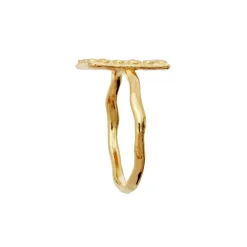 Maanesten Aida Ring, , 57-Dame Ringe