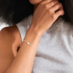 Best Ajani Armbånd, , 23 cm Dame Armbånd