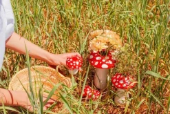 Doiy Amanita Svampe Vase,- Vaser & Urtepotteskjulere