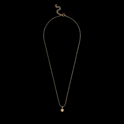 Clearance Amore Halskæde, , 45+5 cm Dame Øreringe