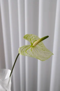 Bloom Objects Anthurium Kunstig Blomst,- Kunstige Blomster