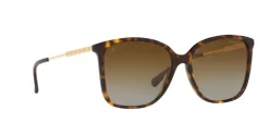 Michael Kors Avellino MK2169 Solbriller,-Dame Solbriller