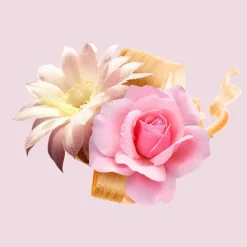 New Boss Ma Vie Eau De Parfum, 50 ml Eau De Parfum
