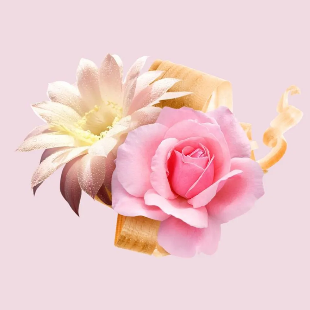 New Boss Ma Vie Eau De Parfum, 50 ml Eau De Parfum