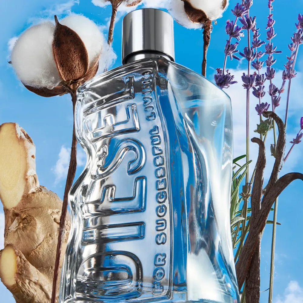 New D Eau De Toilette, 30 ml Eau De Toilette|Eau De Toilette