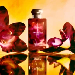 Clearance Dark Amber & Ginger Lily Cologne Intense, 100 ml Eau De Cologne