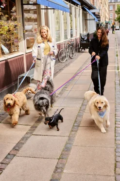 HAY Dog Flat Hundehalsbånd,- Udstyr Til Kæledyr