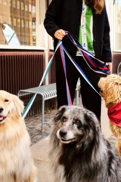 HAY Dog Flat Hundesnor,- Udstyr Til Kæledyr