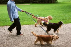HAY Dog Flat Hundesnor,- Udstyr Til Kæledyr