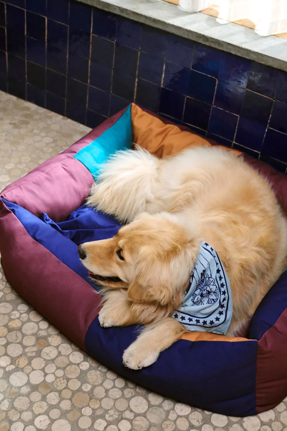 Outlet Dog Hundetørklæde, Udstyr Til Kæledyr