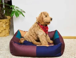 New Dog Large Hundeseng, Udstyr Til Kæledyr