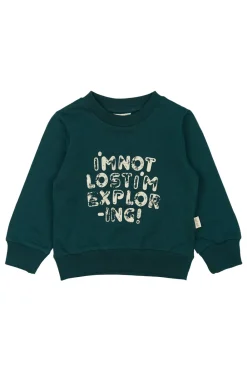 Dov Sweatshirt, , 110 cm Børn Strik & Sweatshirts