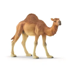 Schleich Dromedar-Børn Legetøjsfigurer & Klodser