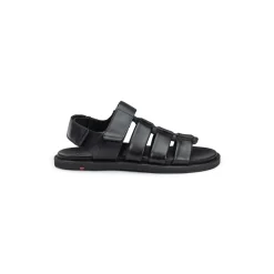 Lloyd Emory Sandaler, , 42- Sandaler