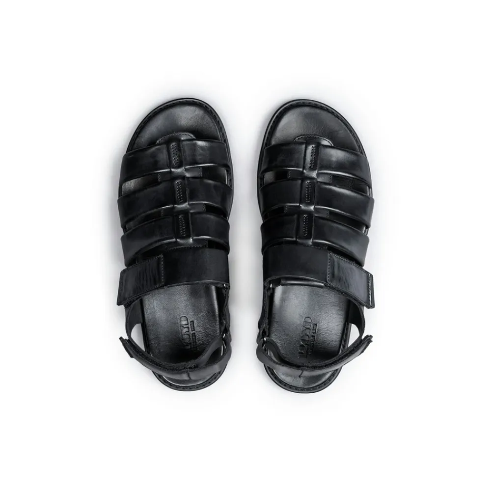 Lloyd Emory Sandaler, , 42- Sandaler