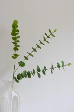 Bloom Objects Eucalyptus Kunstig Blomst,- Kunstige Blomster