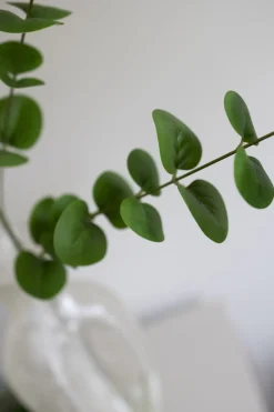 Bloom Objects Eucalyptus Kunstig Blomst,- Kunstige Blomster