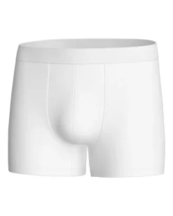 Impetus Executive Boxershorts, , XL- Undertøj