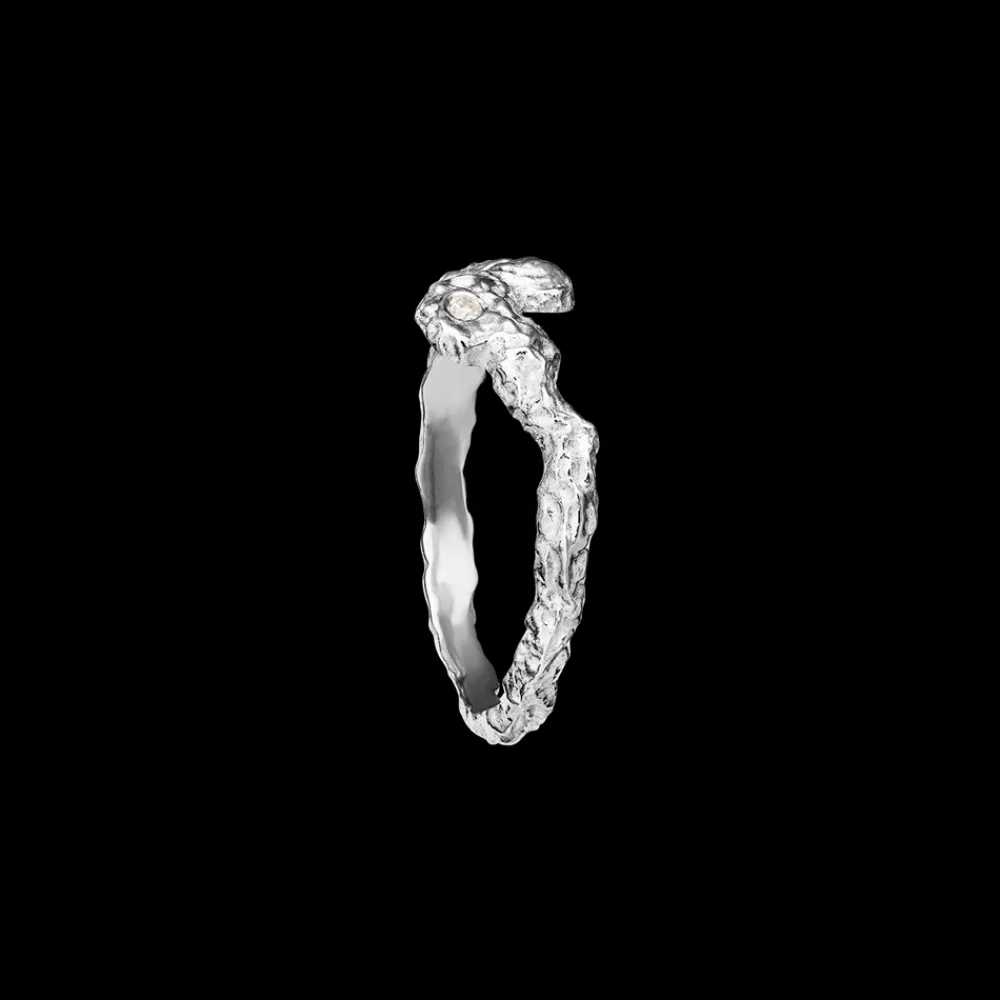 Best Frida Ring, , Str. 51 Dame Ringe