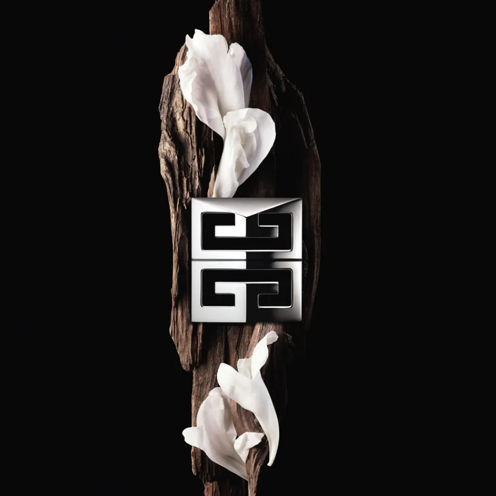 Givenchy Gentleman Society Deostick, 75 g- Deodorant|Deodorant