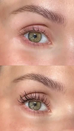 Sandstone Grand Danois Mascara, Black- Øjne