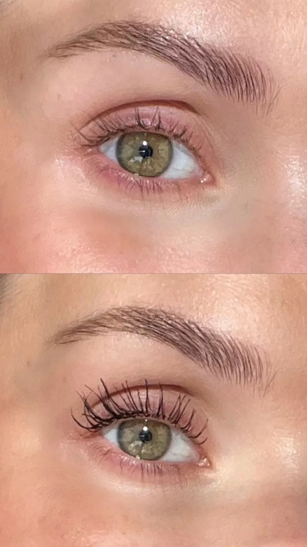 Sandstone Grand Danois Mascara, Black- Øjne