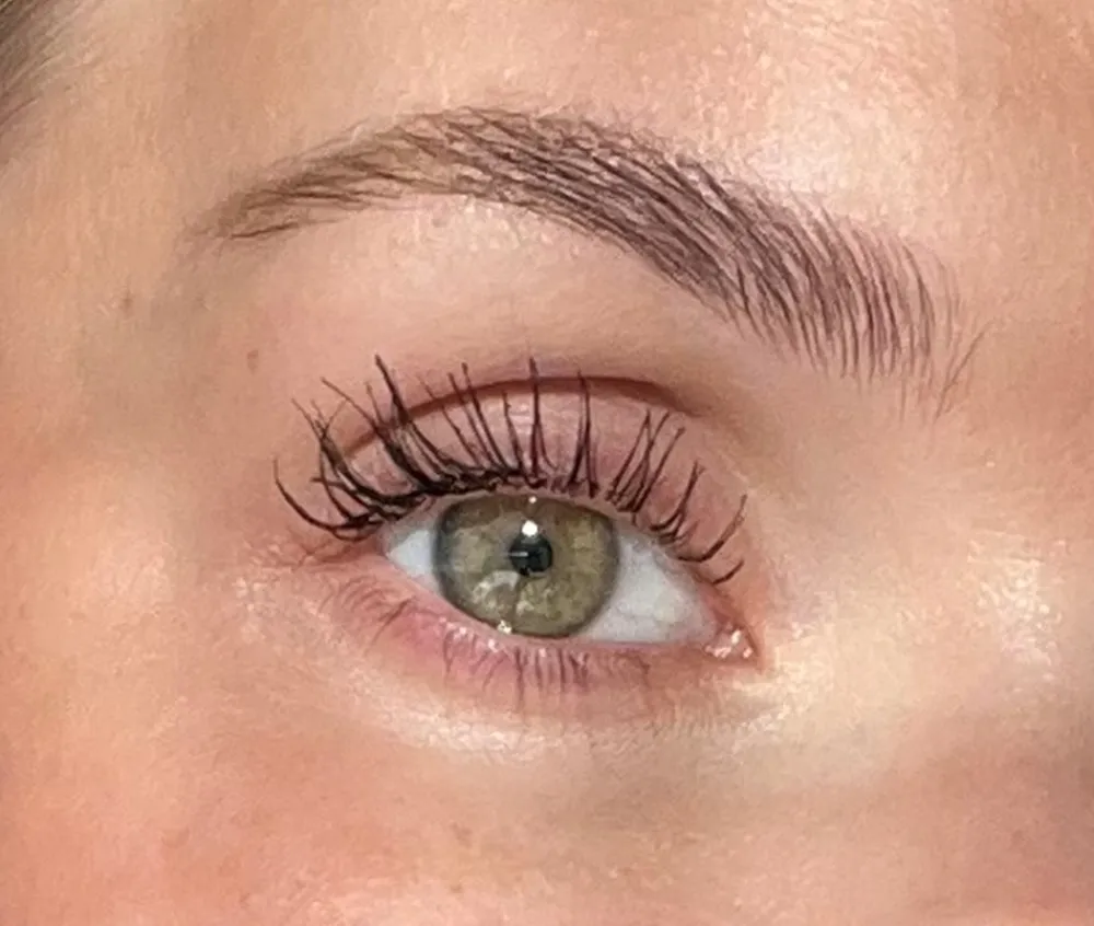 Sandstone Grand Danois Mascara, Black- Øjne