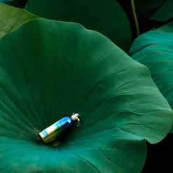 Hot Herbal Aquatica Eau De Parfum, 100 ml Nicheparfumer