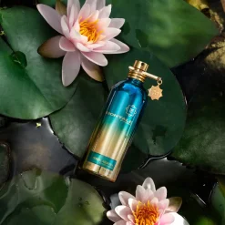 Hot Herbal Aquatica Eau De Parfum, 100 ml Nicheparfumer