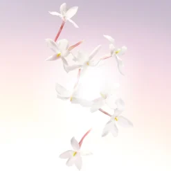 Outlet Idôle Eau De Parfum, 25 ml Eau De Parfum|Dufte