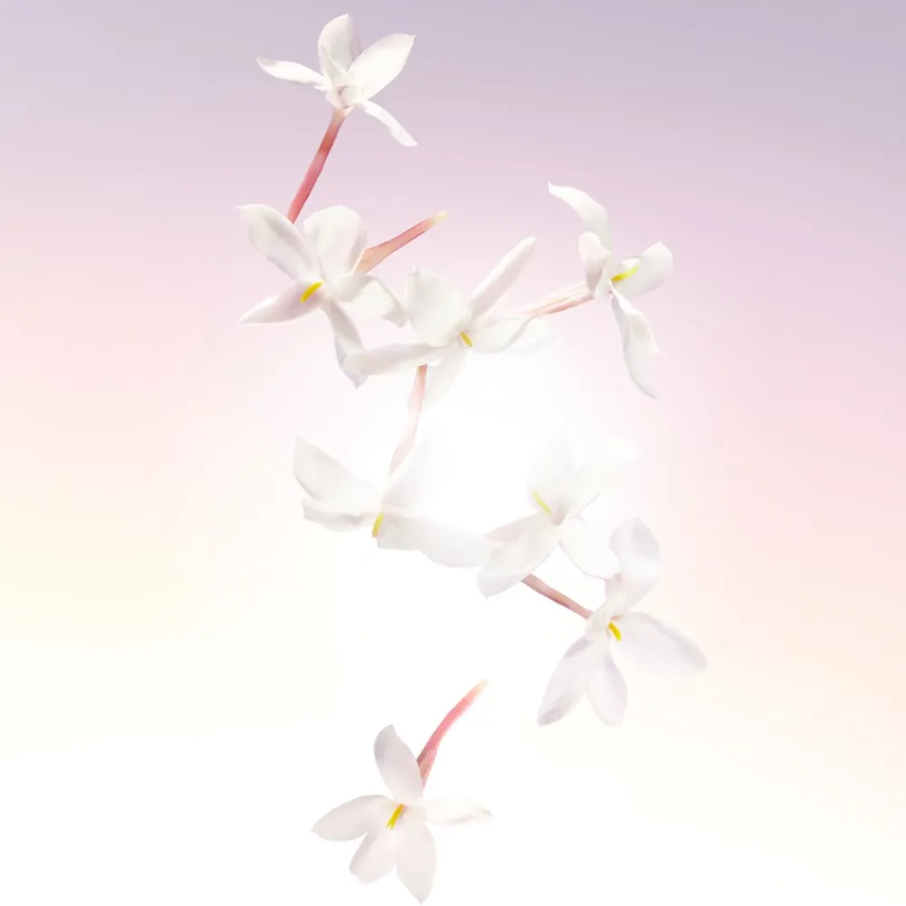 Outlet Idôle Eau De Parfum, 25 ml Eau De Parfum|Dufte