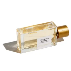 Best Ingenious Ginger Perfume, 100 ml Eau De Parfum|Eau De Parfum