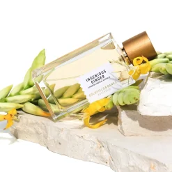 Best Ingenious Ginger Perfume, 100 ml Eau De Parfum|Eau De Parfum