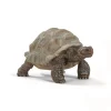 Schleich Kæmpeskildpadde-Børn Legetøjsfigurer & Klodser