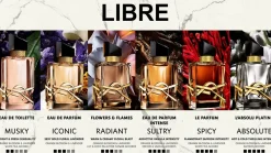 Best Libre Eau De Parfum Refill, 100 ml Eau De Parfum