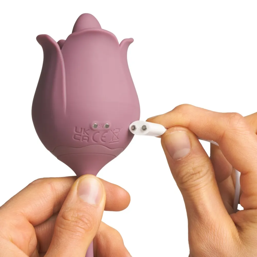 Licking Rose og Vibrerende Æg Sexlegetøj