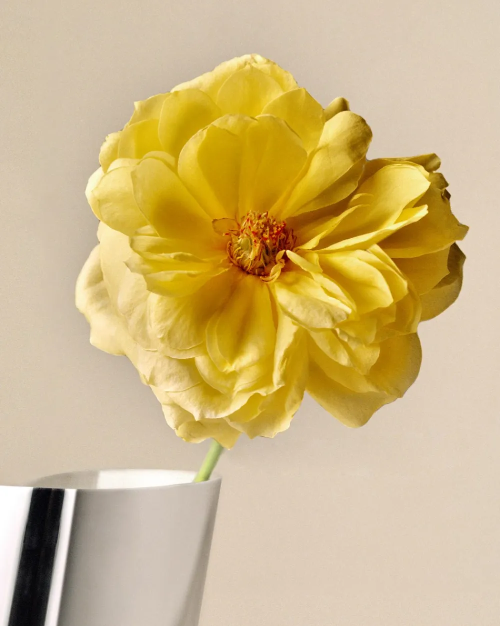 Georg Jensen Lituus Vase,- Vaser & Urtepotteskjulere