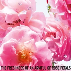 Dior Miss Rose N'Roses, 50 ml- Dufte|Eau De Toilette
