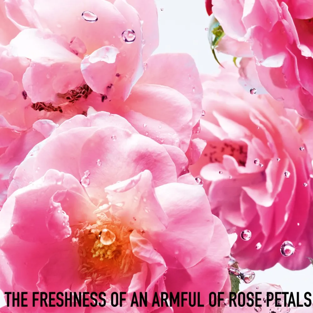 Dior Miss Rose N'Roses, 50 ml- Dufte|Eau De Toilette