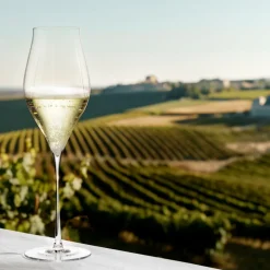 Holmegaard Notes 2-pak Champagneglas, , 38 cl- Glas