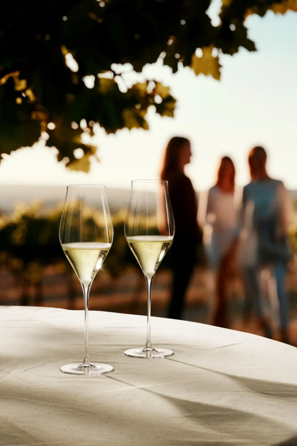 Holmegaard Notes 2-pak Champagneglas, , 38 cl- Glas