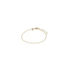 Pilgrim Parisa Armbånd, , 16+3 cm-Dame Armbånd