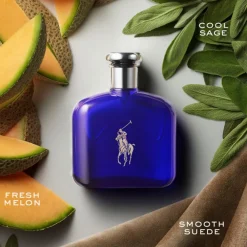 Hot Polo Blue Eau De Toilette 75 ml Eau De Toilette|Eau De Toilette
