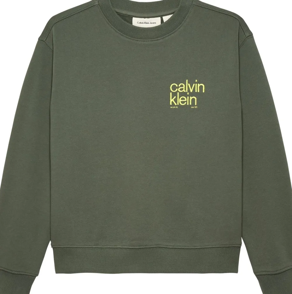 Calvin Klein Relaxed Back Print Sweatshirt, , 152 cm-Børn Strik & Sweatshirts