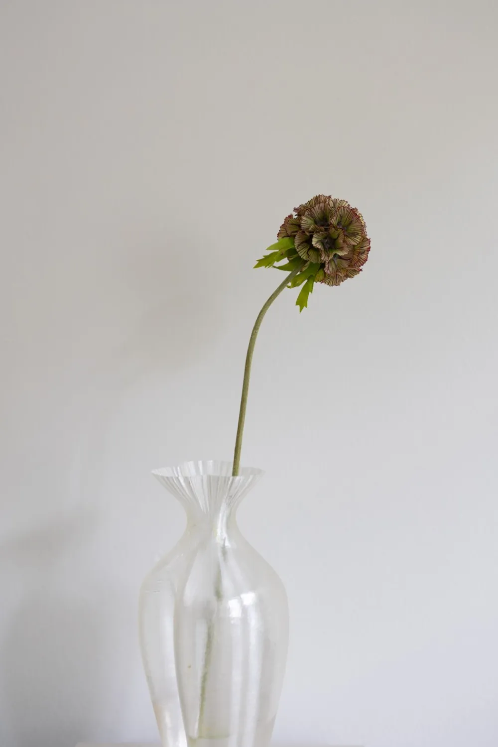 Online Scabiosa Kunstig Blomst, Kunstige Blomster