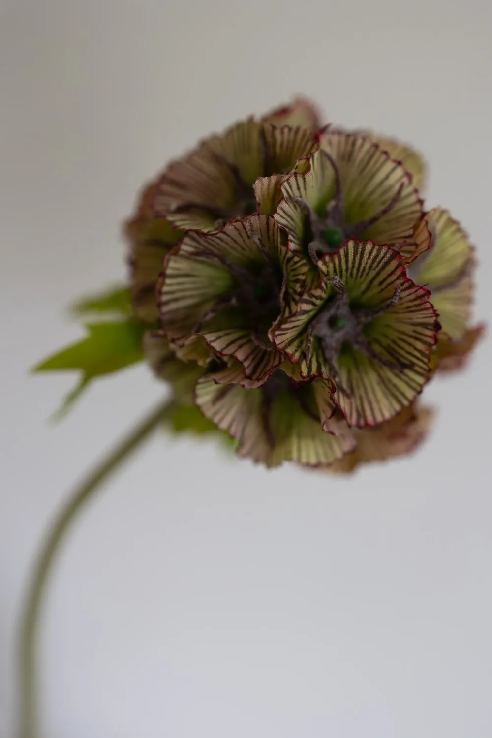 Online Scabiosa Kunstig Blomst, Kunstige Blomster