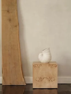 ferm LIVING Shell Vase,- Vaser & Urtepotteskjulere