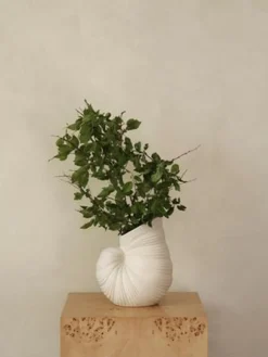 ferm LIVING Shell Vase,- Vaser & Urtepotteskjulere