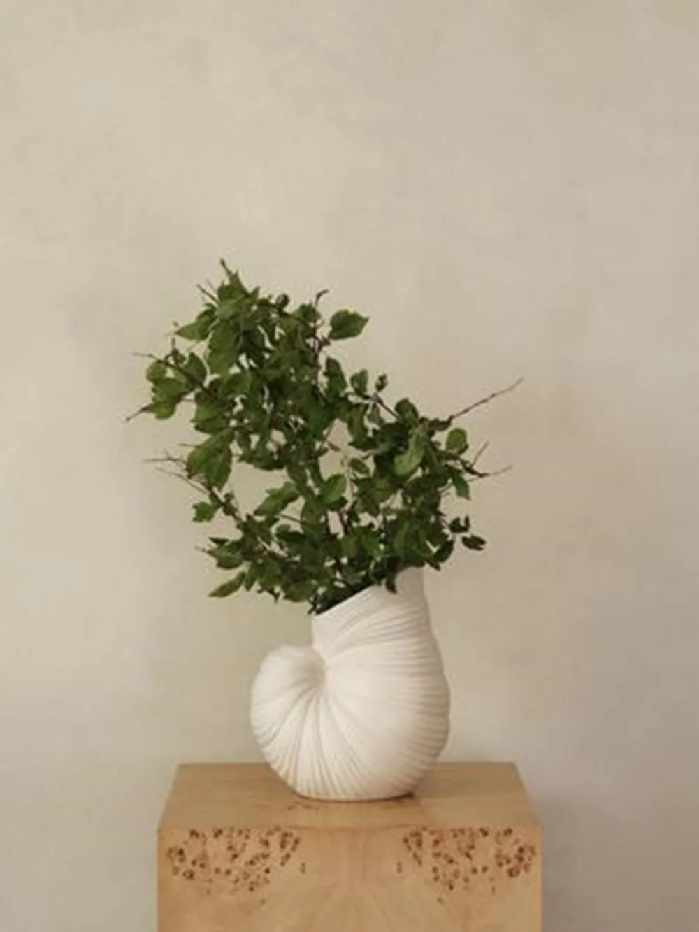 ferm LIVING Shell Vase,- Vaser & Urtepotteskjulere